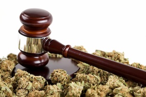 Penalty for growing marijuana in arizona